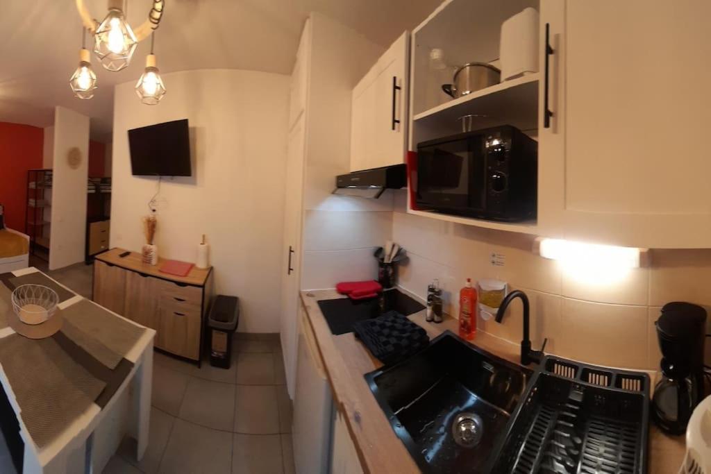 Appartement Du Chamois Roux, Dans Residence De Tourisme 3 Etoiles 루르드 외부 사진
